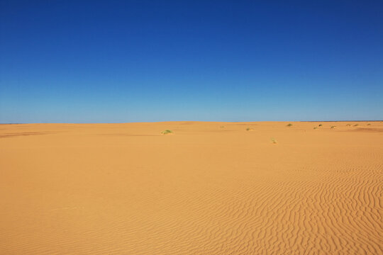 Nature of Sahara Desert, Mauritania, West Africa