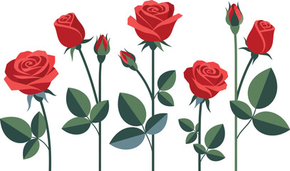 Naklejka premium Seven red roses with green leaves on white background