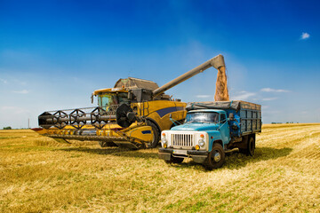Fototapeta premium Combine harvester unloading harvested grain into a vintage truck in a wheat field