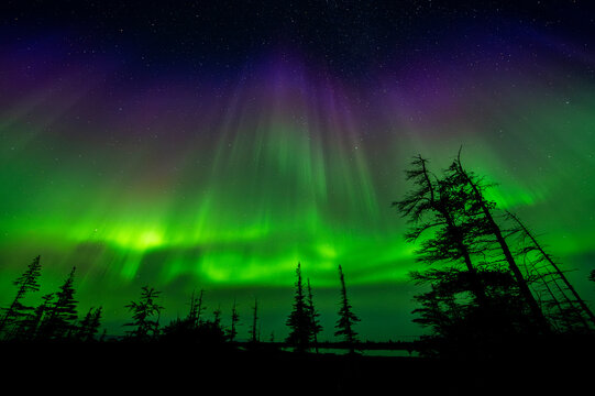 Aurora borealis above the tundra near Churchill, Manitoba, Canada. August, 2024. 