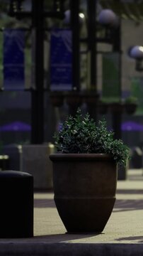 A planter filled with green plants is placed in an urban setting. The area has street lights and signs visible in the background. It is late afternoon, and shadows are present.