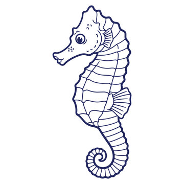 Stylized seahorse illustration in blue outline for marine life education and creative underwater themed design projects