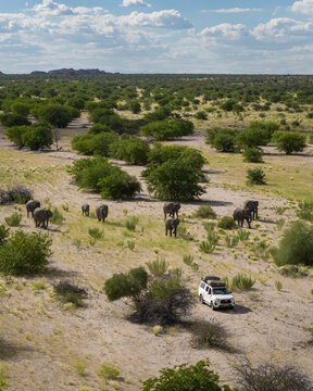 Aerial view of a herd of elephants dwarfing a lone white SUV, traversing the arid plains under a vast sky, Uis, Erongo Region, Namibia.