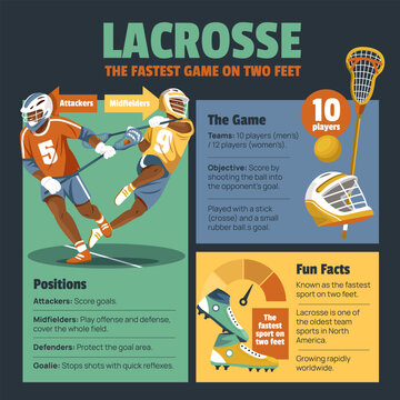Lacrosse infographic with rules positions and gameplay information illustration