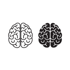 Fototapeta premium Brain Anatomical Icon on White Background