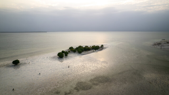 Aerial view of a small island with lush green trees surrounded by the expansive ocean under a soft, diffused sunlight, Paje, Tanzania.