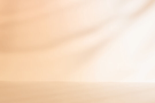 Abstract pastel color pink gradient studio background with shadows of window. Empty 3d room. Display product with blurred backdrop.