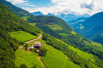 Naklejka premium A charming village is nestled among lush, terraced vineyards near the city of Bolzano, Tyrol province, Italy. Majestic Alpine mountains rise in the background