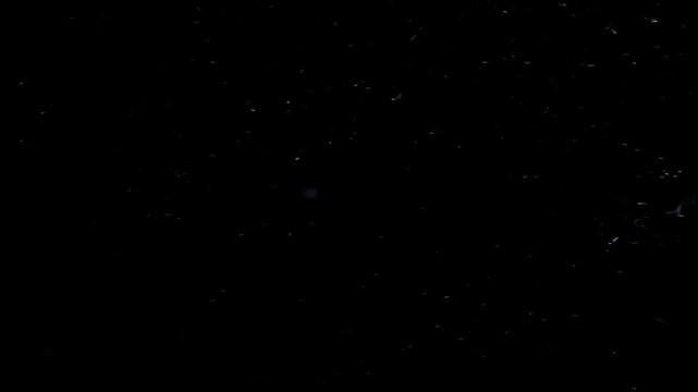 Snowflakes falling slowly against a deep black background, captured in high definition slow motion. featuring snow, snowfall, snow flakes with winter