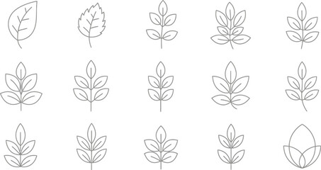 Fototapeta premium Adobe Illustrator Artwork