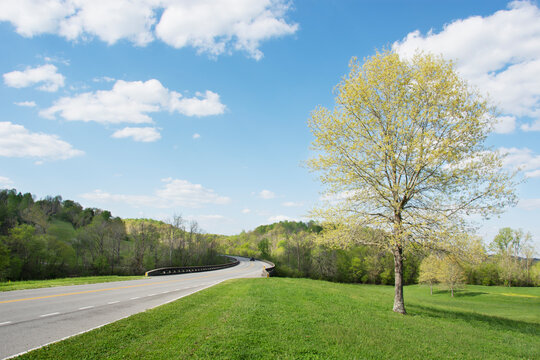 Empty Natchez Trace Parkway in spring