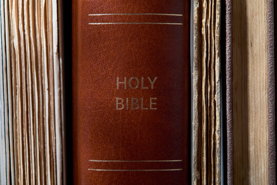 Close-up of Bible on bookshelf