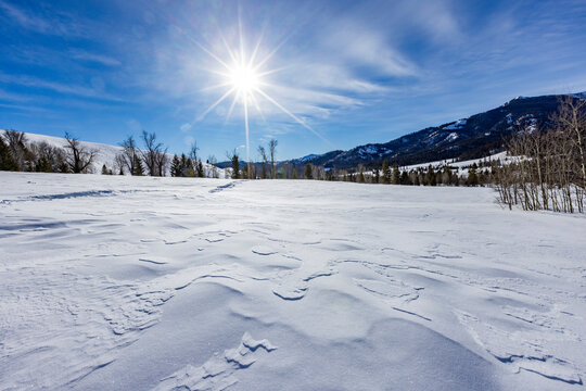 Sun shining above winter landscape