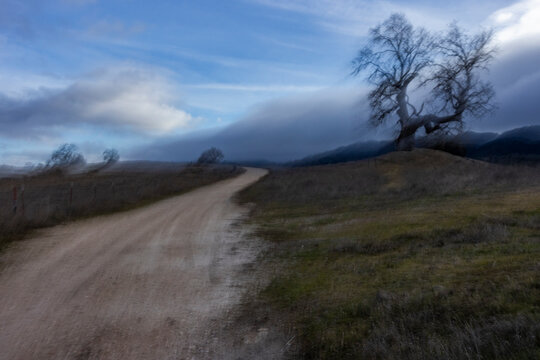 Dirt road with bare tree, blurred motion