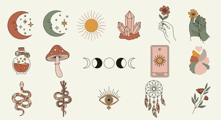 Vintage floral vector set for design featuring flowers plants trees symbols patterns and decorative decorative elements for Christmas beauty art and decoration © Rizky