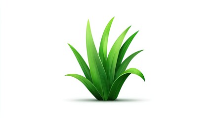 Obraz premium Clump of vibrant green foliage sprouts upward from a white surface