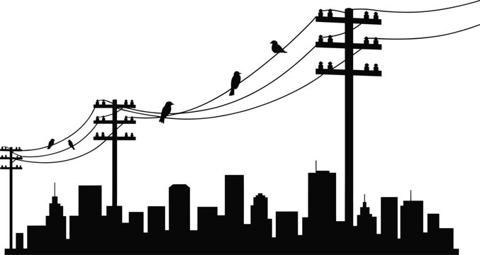 Birds on power lines over city skyline silhouette, urban wildlife scene, electricity poles and cables illustration, modern city environment concept, isolated black design background
