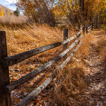 Wooden fence along rural path in autumn