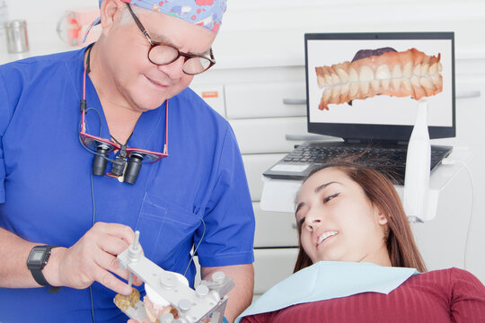 Dentist explaining dental hygiene to patient using jaw model
