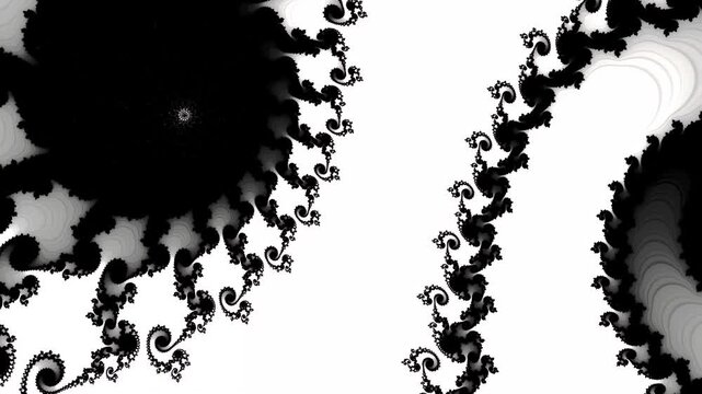 Animation displays intricate patterns created by fractals in black and white. The shapes move and evolve in patterns over time
