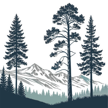 Hand drawn vintage style mountain landscape with tall pine and spruce trees in the foreground forest mountains landscape outdoors wilderness adventure exploration monochrome artistic majestic