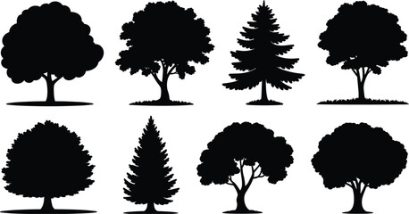 Tree silhouette collection set, diverse forest pine and oak plants for nature landscape design isolated vector illustration © Al