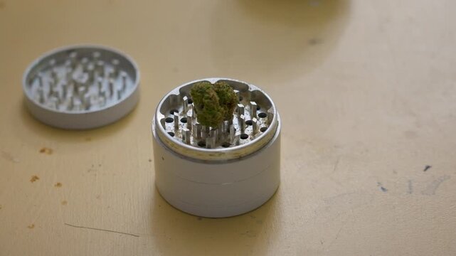 Dropping carefully a small amount of marijuana onto a grinder.