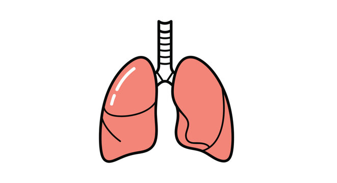 A simplified colorful illustration depicts a pair of human lungs showcasing their lobed structure and trachea