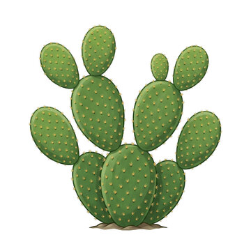Prickly pear cactus with green flat pads and yellow spines isolated on a white background