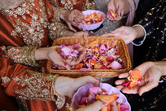 Adult hands holding coloured petals part of celebration and tradition 