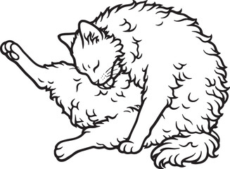 Naklejka premium LaPerm Cat Grooming Belly Cleaning Pose Black and White Line Art Illustration