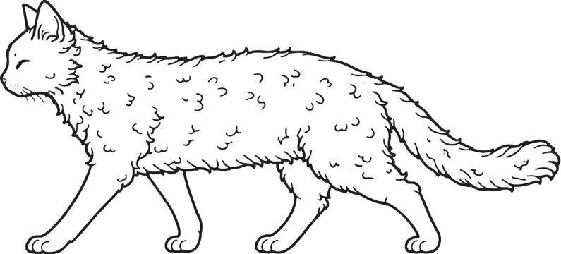 LaPerm Cat Walking Side Profile Black and White Line Art Illustration