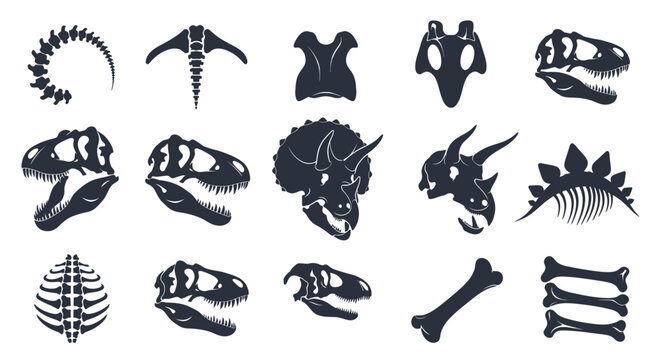 Prehistoric Dinosaur Fossil Skeleton Bones and Skull Silhouettes Vector Design Element Set