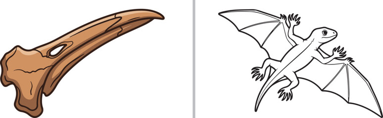 Pterosaur skull fossil and flying reptile dinosaur vector illustration for paleontology education © Muhammad