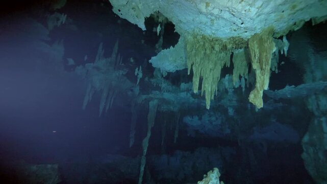 Dense calcite stalactites hang from cavern ceiling in clear cenote water in Cenote Dos Ojos, Quintana Roo, Mexico