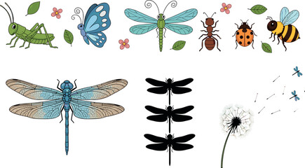 Collection of colorful insects including grasshopper butterfly dragonfly ant ladybug bee and dandelion seeds detailed vector illustration set © MdRazaul