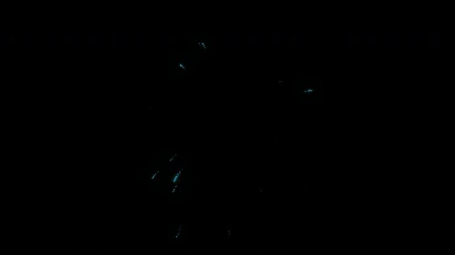 New Year Celebration Fireworks Explosion Seamless Loop with Alpha Channel