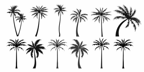 Obraz premium Collection of silhouetted palm trees in varying shapes and sizes