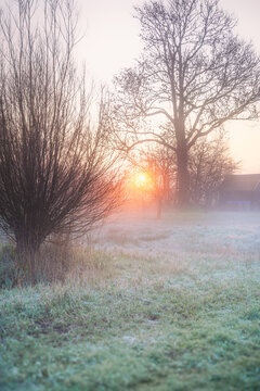 Morning sun pierces mist, frost kisses the dew-kissed grass.