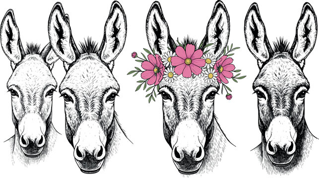 Donkey head vector set featuring detailed line art portraits and floral crown mule illustration isolated farm animal collection