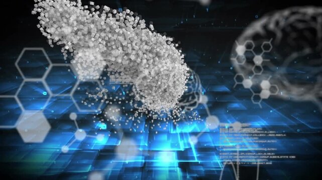 Animation of brains and diverse data processing over human model on black digital background