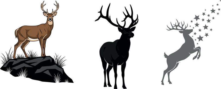 Deer vector set featuring realistic stag illustration, black silhouette and jumping deer with stars isolated wildlife design collection
