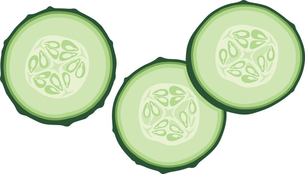 Fresh cucumber slices vector illustration featuring green vegetable cross sections isolated on white background healthy food design element