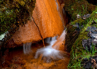 Fototapeta premium photo of a noisy spring with a large amount of water, which precipitates iron spring lime. One of the most magnificent geosites in Latvia, associated with the outflow of underground waters