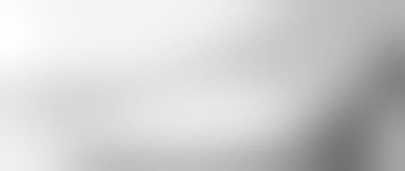 Obraz premium Digital website banner background featuring smooth blurred gradients in grey, white, silver, and light