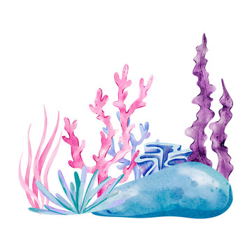 Watercolor Coral Reef Scene with Pink and Purple Coral, Seaweed, and Blue Rock in a Stylized Marine Arrangement