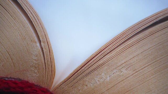Macro Book Pages Turning | Abstract Paper Texture Close-Up