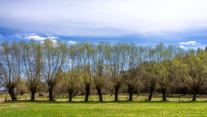 Wiosenny krajobraz wiejski, Podlasie, Polska © podlaski49