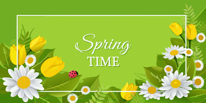 A vibrant spring illustration with flowers leaves and a ladybug