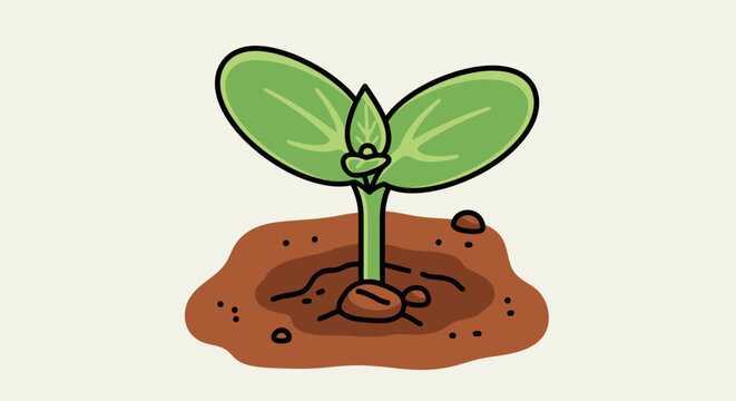 International Sunflower Plant Growth Event in Garden Soil Environment